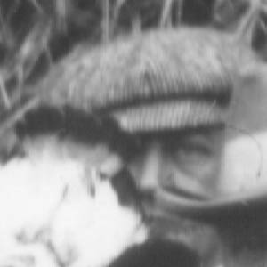Admiral Sir Henry Hervey Campbell (1865-1933) when Captain Campbell RN